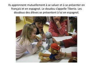 Ils apprennent mutuellement à se saluer et à se présenter en
   français et en espagnol. Le doudou s’appelle Tiberio. Les
     doudous des élèves se présentent à lui en espagnol.
 