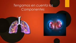 Tengamos en cuenta los
Componentes
 