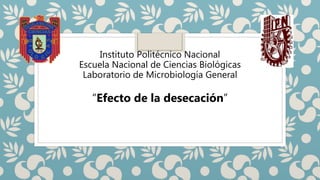 Instituto Politécnico Nacional
Escuela Nacional de Ciencias Biológicas
Laboratorio de Microbiología General
“Efecto de la desecación”
 