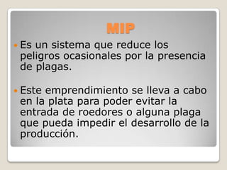 MIP
 Esun sistema que reduce los
 peligros ocasionales por la presencia
 de plagas.

 Esteemprendimiento se lleva a cabo
 en la plata para poder evitar la
 entrada de roedores o alguna plaga
 que pueda impedir el desarrollo de la
 producción.
 