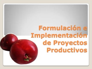 Formulación e
Implementación
   de Proyectos
    Productivos
 