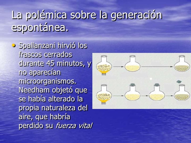 Desecho de la teoria de la generacion espontanea