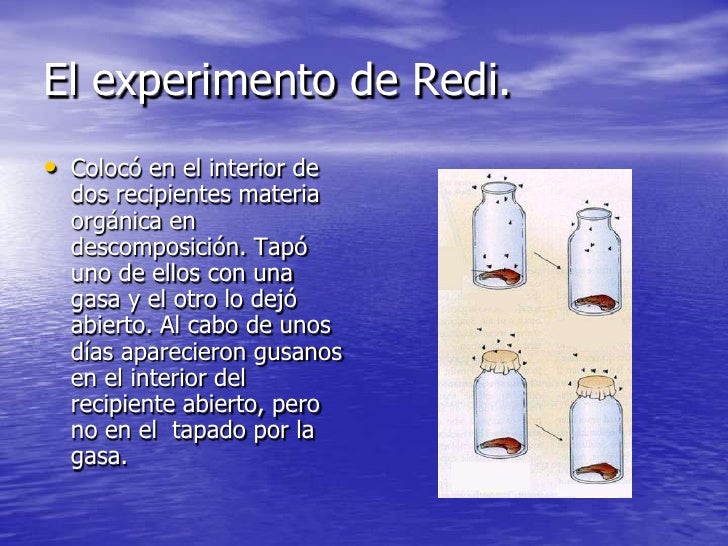 Desecho de la teoria de la generacion espontanea
