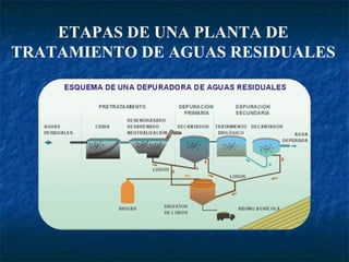 ETAPAS DE UNA PLANTA DE TRATAMIENTO DE AGUAS RESIDUALES 