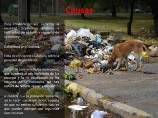 Causas
Poca colaboración por parte de la
sociedad (organismos públicos y
habitantes) en el cuido y reguardo de
su entorno.
Deficiencia en el sistema.
Falta de conciencia ciudadana sobre la
gravedad del problema.
Patrón de consumo de los ciudadanos,
que obedece al uso ineficiente de los
recursos y la no valorización de los
recursos de la naturaleza. No hay
cultura de reducir, reusar y reciclar.
A medida que la población aumenta,
así lo hacen sus desperdicios, además
de que no existen suficientes lugares
que puedan albergar con seguridad
esos residuos.
 