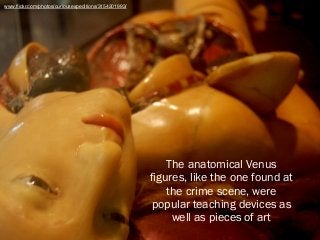 The anatomical Venus
figures, like the one found at
the crime scene, were
popular teaching devices as
well as pieces of ar...