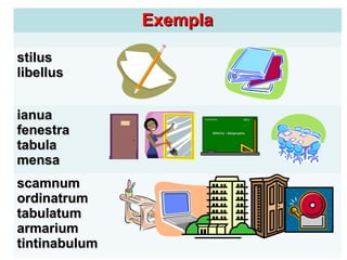 Exempla

stilus
libellus


ianua
fenestra
tabula
mensa
scamnum
ordinatrum
tabulatum
armarium
tintinabulum
 