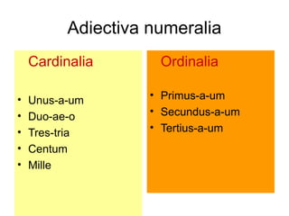 Adiectiva numeralia
    Cardinalia       Ordinalia

•   Unus-a-um       • Primus-a-um
•   Duo-ae-o        • Secundus-a-um
•   Tres-tria       • Tertius-a-um
•   Centum
•   Mille
 