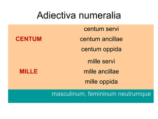Adiectiva numeralia
                   centum servi
CENTUM            centum ancillae
                  centum oppida
                    mille servi
MILLE              mille ancillae
                   mille oppida
         masculinum, femininum neutrumque
 