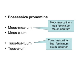 • Possessiva pronomina
                          Meus masculinum
                           Mea femininum
• Meus-mea-um              Meum neutrum
• Meus-a-um

                         Tuus masculinum
• Tuus-tua-tuum           Tua femininum
                          Tuum neutrum
• Tuus-a-um
 