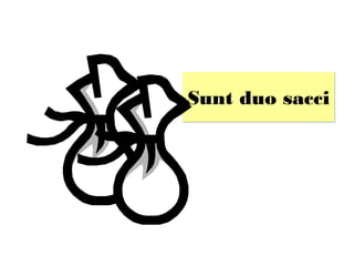 Sunt duo sacci
 