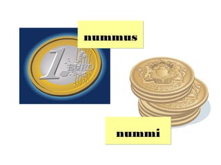nummus




   nummi
 