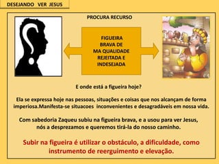 DESEJANDO VER JESUS

PROCURA RECURSO

FIGUEIRA
BRAVA DE
MA QUALIDADE
REJEITADA E
INDESEJADA

E onde está a figueira hoje?
Ela se expressa hoje nas pessoas, situações e coisas que nos alcançam de forma
imperiosa.Manifesta-se situacoes inconvenientes e desagradáveis em nossa vida.

Com sabedoria Zaqueu subiu na figueira brava, e a usou para ver Jesus,
nós a desprezamos e queremos tirá-la do nosso caminho.

Subir na figueira é utilizar o obstáculo, a dificuldade, como
instrumento de reerguimento e elevação.

 