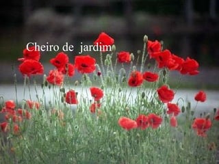 Cheiro de  jardim 