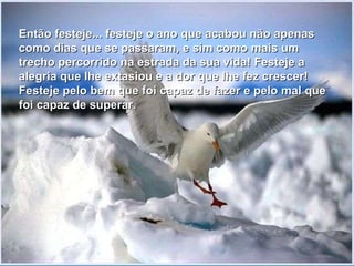 Então festeje... festeje o ano que acabou não apenas como dias que se passaram, e sim como mais um trecho percorrido na estrada da sua vida! Festeje a alegria que lhe extasiou e a dor que lhe fez crescer! Festeje pelo bem que foi capaz de fazer e pelo mal que foi capaz de superar. 