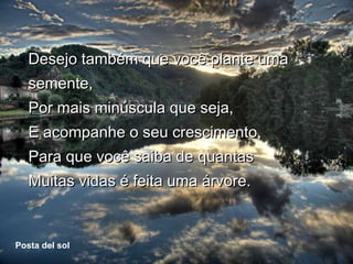 Desejo também que você plante uma
      semente,
      Por mais minúscula que seja,
      E acompanhe o seu crescimento,
      Para que você saiba de quantas
      Muitas vidas é feita uma árvore.


  Posta del sol
Posta del sol
 