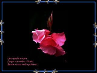 Uma tarde amena Calçar um velho chinelo Sentar numa velha poltrona 