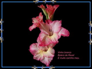 Vinho branco Bolero de Ravel E muito carinho meu.  