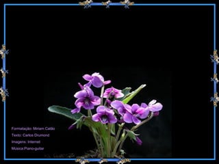 Formatação: Miriam Catão Texto: Carlos Drumond Imagens: Internet Música:Piano-guitar 