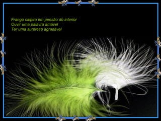 Frango caipira em pensão do interior Ouvir uma palavra amável Ter uma surpresa agradável 