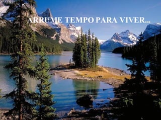 ARRUME TEMPO PARA VIVER... 