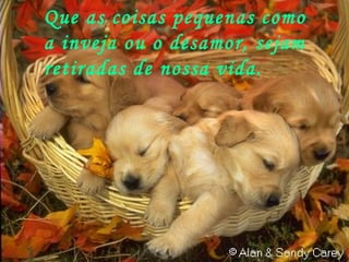 Que as coisas pequenas como  a inveja ou o desamor, sejam  retiradas de nossa vida. 