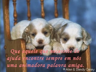 Que aquele que necessite de  ajuda encontre sempre em nós  uma animadora palavra amiga. 