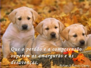 Que o perdão e a compreensão  superem as amarguras e as  desavenças. 