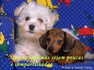 Que as lágrimas sejam poucas e compartilhadas. 