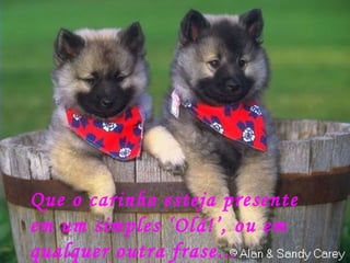 Que o carinho esteja presente  em um simples ‘Olá!’, ou em  qualquer outra frase... 