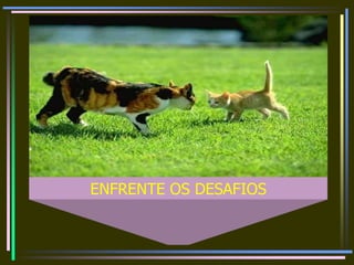 ENFRENTE OS DESAFIOS