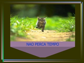 NAO PERCA TEMPO 