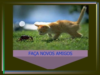 FAÇA NOVOS AMIGOS 