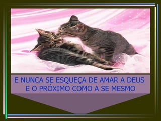 E NUNCA SE ESQUEÇA DE AMAR A DEUS  E O PRÓXIMO COMO A SE MESMO 