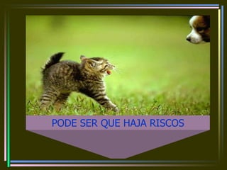 PODE SER QUE HAJA RISCOS 