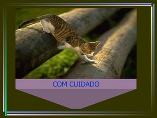 COM CUIDADO 