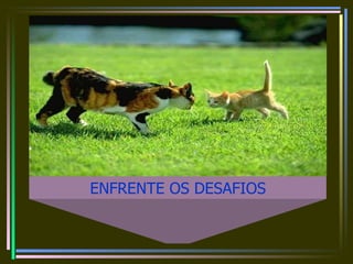 ENFRENTE OS DESAFIOS 