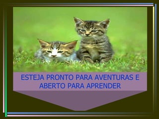 ESTEJA PRONTO PARA AVENTURAS E ABERTO PARA APRENDER 