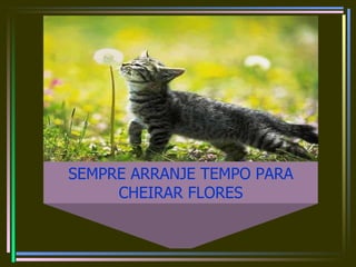 SEMPRE ARRANJE TEMPO PARA CHEIRAR FLORES 