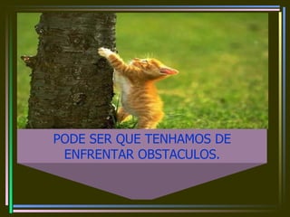 PODE SER QUE TENHAMOS DE ENFRENTAR OBSTACULOS. 