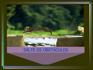 SALTE OS OBSTÁCULOS 