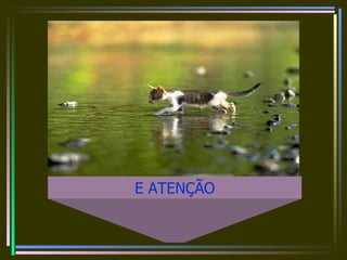 E ATENÇÃO 