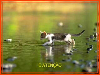 E ATENÇÃO 