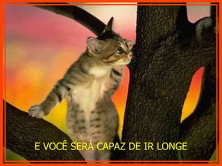 E VOCÊ SERÁ CAPAZ DE IR LONGE 