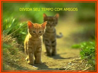 DIVIDA SEU TEMPO COM AMIGOS 