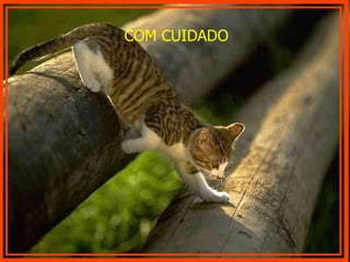 COM CUIDADO 