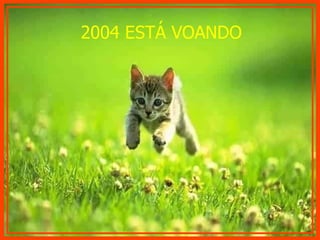 2004 ESTÁ VOANDO 