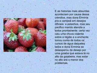E as historias mais absurdas
aconteciam por causa dessa
crendice, mas dona Erminia
era a campeã em desejos
dificieis e estanhos, mas seu
pacifico marido atendia a
todos prontamente: certa vez
caiu uma chuva violenta
sobre a região e a enchente
tomou conta de todos os
cursos de água daqueles
lados e dona Erminia se
desesperou de desejo por
uma goiaba que estava lá no
alto da goiabeira, mas estar
no alto era o menor dos
problemas.
 