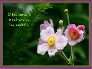O teu corpo é o reflexo do teu espírito.