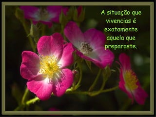 A situação que vivencias é exatamente aquela que preparaste. 